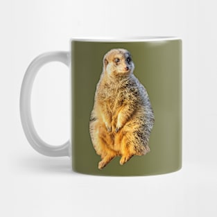 Meerkat on guard Mug